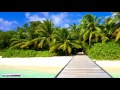 Reggae Music | Heart of the Island | Relax, Study & Ambience