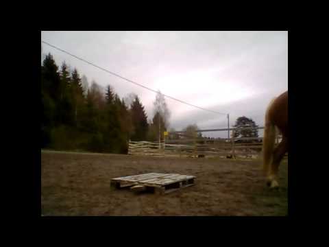 Croundwork with Nayrobi 16.5.2014