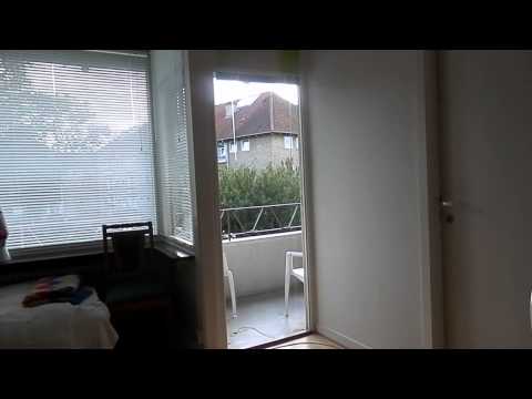 MongoTV_125 - John Er Træt Efter Gåtur Men Flytter Måske Snart