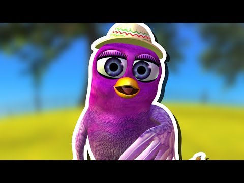 A Gaita Passarinha -  A Fazenda do Zenon