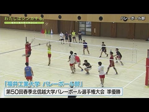 わたしはシンカする。バレーボール部