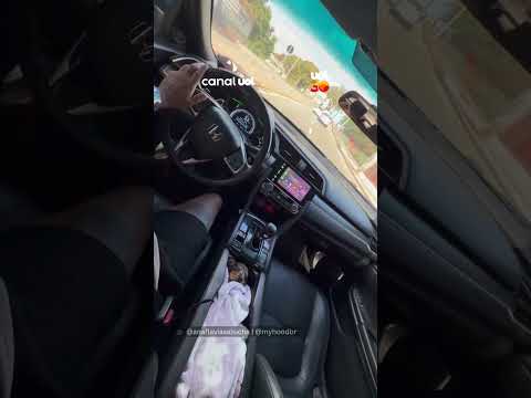 Cachorrinha encontra o cantinho perfeito para viajar de carro e derrete corações