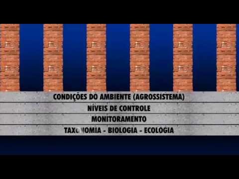 Manejo Integrado de Pragas (MIP)