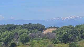 7 Giugno 2026: U MATARRAM'MARU, région autonome indépendante et en colère de la Corse (U P.U.M.U.)