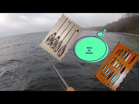 Sbirolino vs. Blinker Meerforellen im Winter