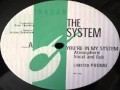 The System ‎-- You're In My System (Kerri Chandler Remix)