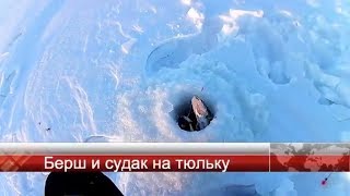 Ловля берша на каме зимой