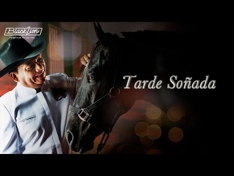 Tarde Sonada - Aries Vigoth