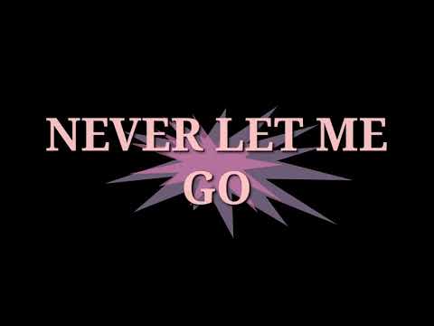 Never Let Me Go - Flauta Cover ( com voz )