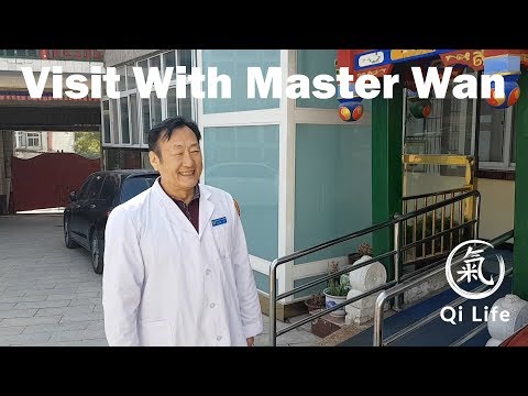 Visit With Qigong Master Wan Su Jian of Bagua Xundao Gong - Qi Life - China Vlog 12