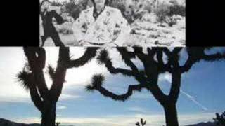 Emmylou Harris Boulder to Birmingham Tribute to Gram Parsons