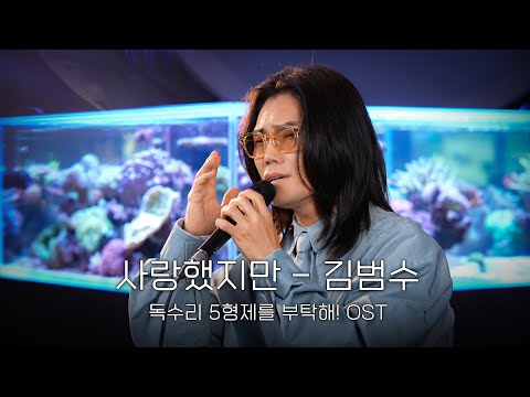 [Live] 김범수 - 사랑했지만 (독수리 5형제를 부탁해! OST)