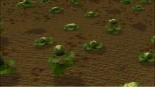 Savez-vous planter les choux? Pouf feat. Princesse Clara et le piano cassé à doigts!