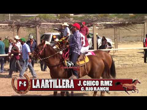 HIT # 3 LA CONCHITA   LA VIVORA   LA PEREJILDA   LA ARTILLERA   LA JESSI  EL NIÑO