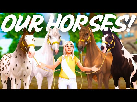 Meet My Horses! ✨Personal, Lesson & More! II SSO RRP