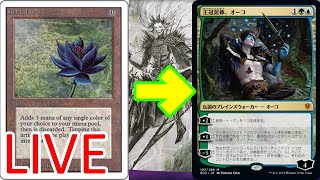 ヴィンテージリーグを駆け抜ける【こばとん】