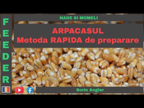 , title : 'Arpacasul - Metoda rapida de preparare.'