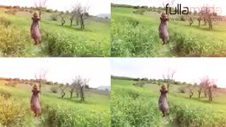 Almuka FULLA MODA Firma tanıtım Videosu