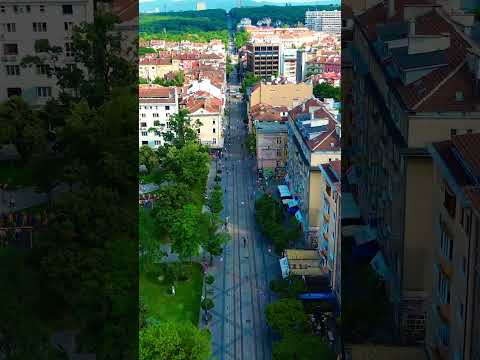 Rua Graf Ignatiev, Sofia Bulgária 2023 4K #shorts