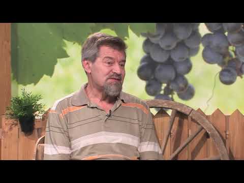 Naše dobro ep. 58 29.06.2019. NAJAVA