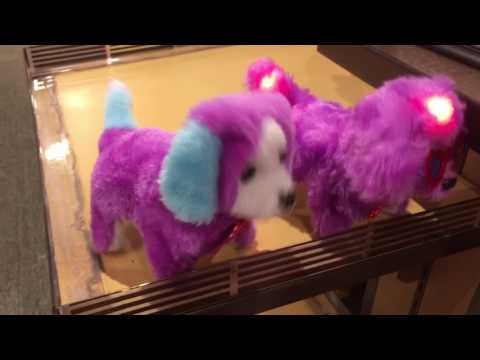 Mall Madness: More Dogs