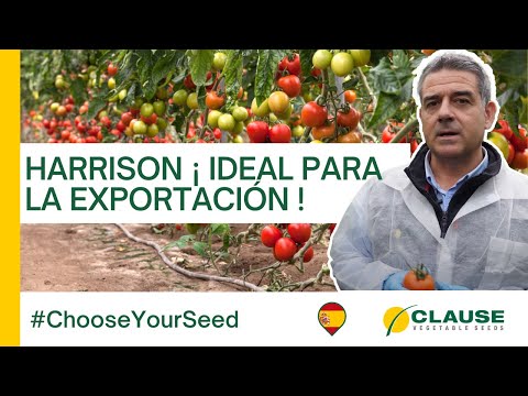Video: HARRISON F1