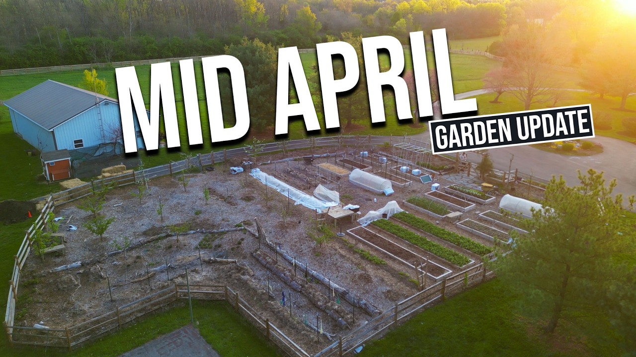 Mid-April Garden Update: Big Progress (and a Tough Loss)