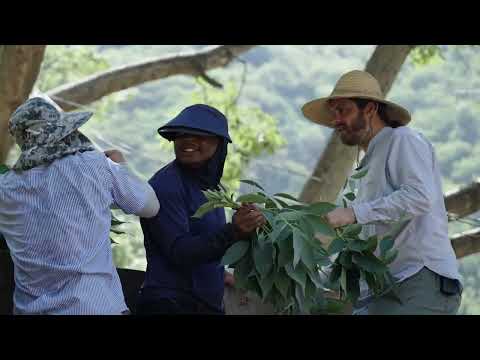 2022 International Short Video Competition Shortlisted OutstandingWorks - Video 79