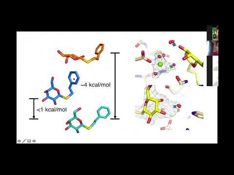 Michael Robertson, PhD - GemSpot: A Pipeline for Robust Modeling of Ligands into CryoEM Maps