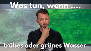 Was tun, wenn man trübes oder grünes Wasser hat?