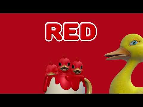 Five little ducks  Colours Nursery Rhymes  Baby Songs