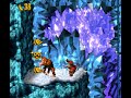 Donkey Kong Country SNES Geleira Gorila Cordas Lisas