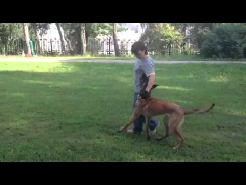 Q 7 months and Olya heeling