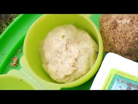 Angeln am Amtsteich - 30.06.2015