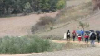 preview picture of video 'Camino de Santiago, Etapa 6 Los Arcos-Viana.mpg'