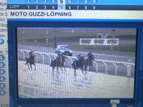 GALOPPSPELAREN - Incident på upploppet Jägersro Galopp lopp 5 2010-10-24