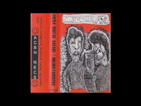 HOLIDAYSUCKERS / ANEKA DIGITAL SAFARI - SPLIT 2020 (NOISE/GRIND)