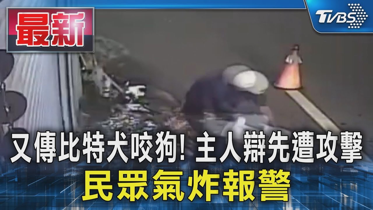 比特犬不牽繩咬狗！主人辯先遭攻擊　民眾怒：故意練咬