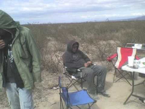 Kamphiones  - Estacion Catorce - 2008