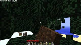 preview picture of video 'Minecraft SP: Ep 2 - Hunting for spiders?? (Gameplay/Commentary)'