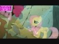 [PMV] We can make it - Johnny Tillotson, Brian ...