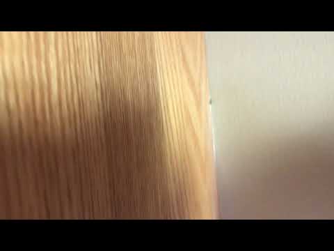 Large Odorous House Ant Infestation In the Kitchen in Ocean Township, NJ