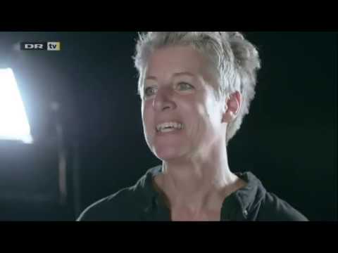 Mellem Himmel og Jord — Blinded EHS Experiment (DR2)