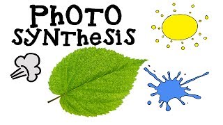 Photosynthesis for Kids - How plants make food - Animation Science