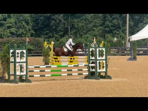 Quarter Sinclaire video 2