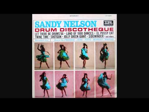 Sandy Nelson - Twine Time