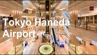 Download lagu Tokyo Haneda Airport walking tour | 東京 羽田空港 | Terminal 1 mp3 Download lagu Tokyo Haneda Airport walking tour | 東京 羽田空港 | Terminal 1 mp3