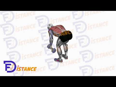 Tirage avec haltères en prise neutre - Exercice Tirage avec haltères en prise neutre en vidéo