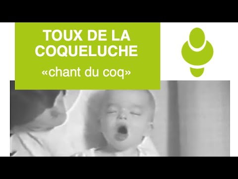 La toux de la coqueluche - Le chant du coq l CADUCEE PERFORMANCE