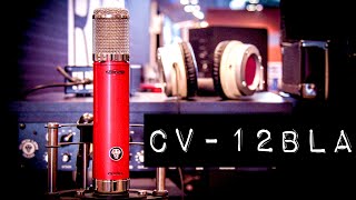 Video thumbnail for Avantone Pro Brings the Heft - New CLA Amp Made the Old Way & CV-12 Black Lion Audio Collaboration by Creative Sound Lab
